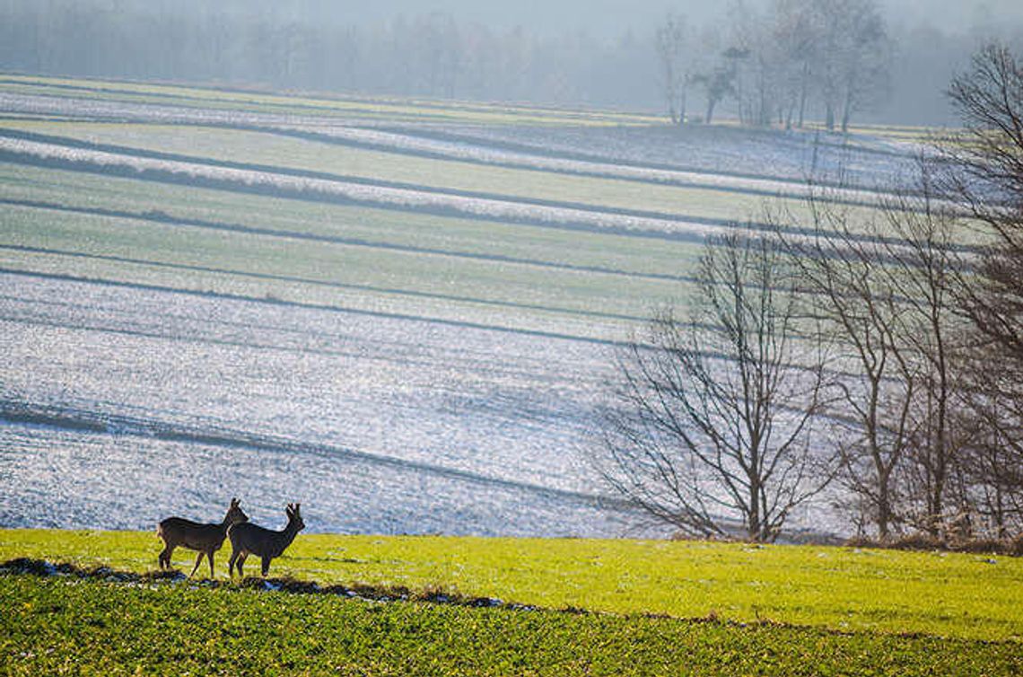Przepiękne woj. lubelskie. Niezwykłe zdjęcia naszego Czytelnika