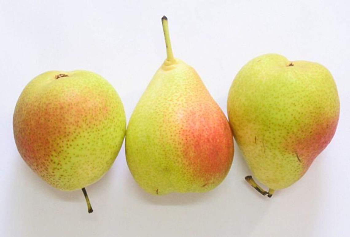 Przepis na likier gruszkowy