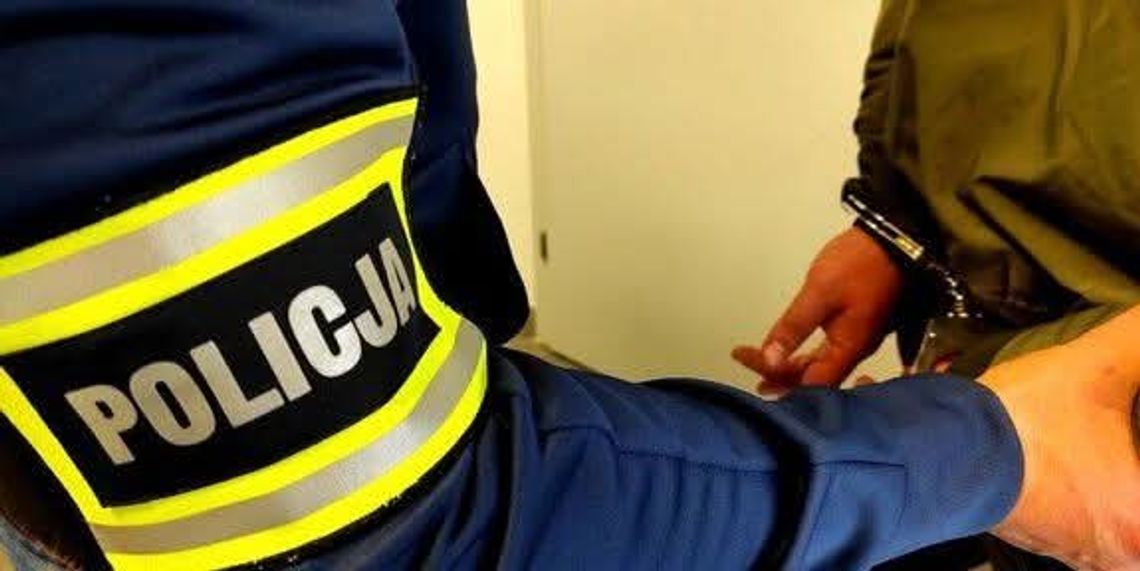 Przepis na trzy lata odsiadki. Kryminalni przejęli marihuanę i... „wzbogacone” ciastka Policja