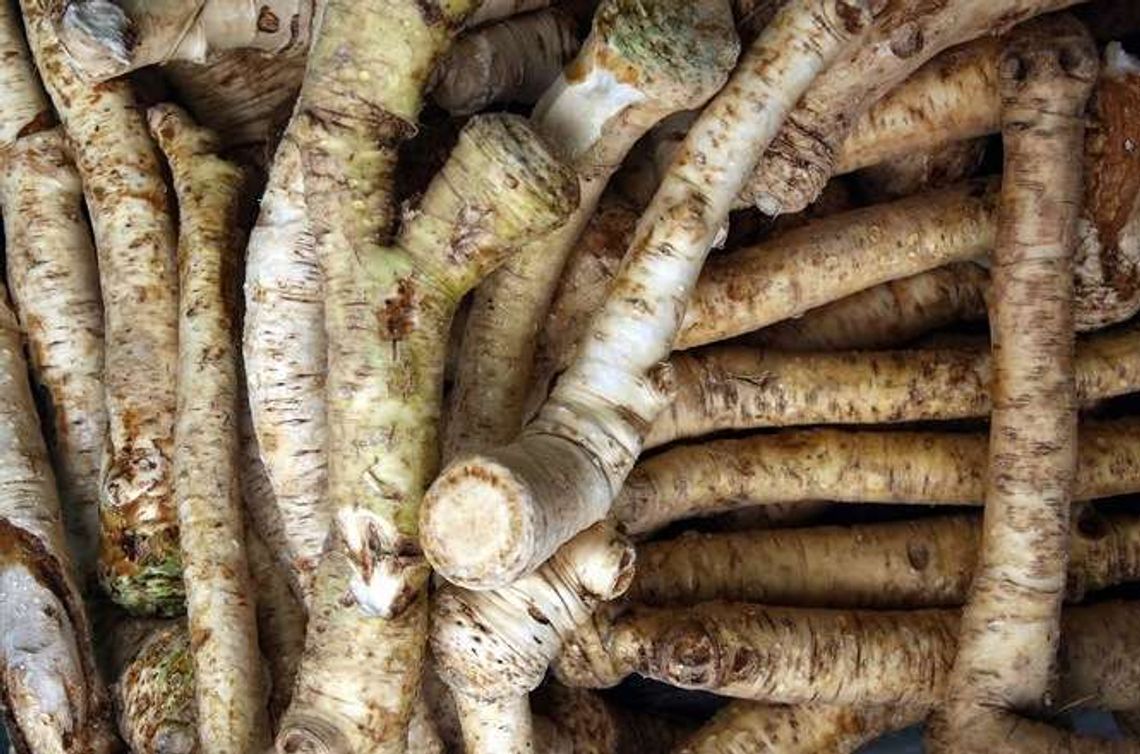 Przepisy na Wielkanoc. Jak zrobić domowy chrzan?