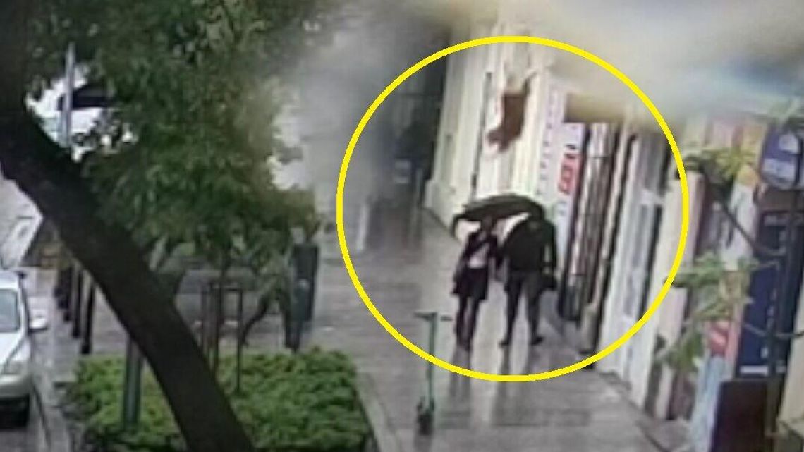 Przerażony burzą owczarek skoczył z II piętra wprost na kobietę