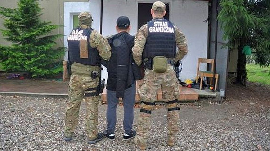 Przerzut przez granicę kosztował Wietnamczyka 15 tysięcy dolarów. Tak działał gang