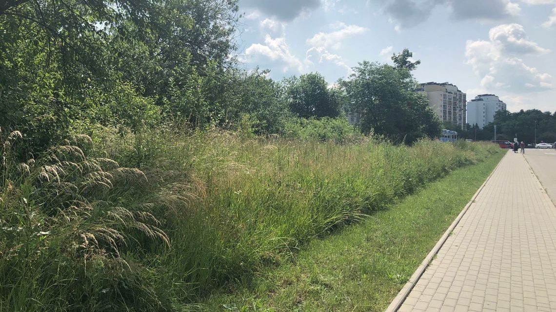 "Przestępstwa nie było". Prokuratura podjęła decyzje w sprawie sporu miasta z deweloperem