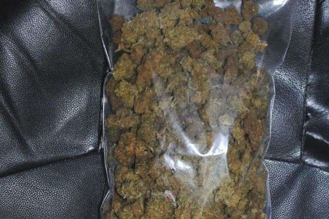 Przeszukali mieszkanie. Znaleźli 160 gramów marihuany Przeszukali mieszkanie. Znaleźli 160 gramów marihuany