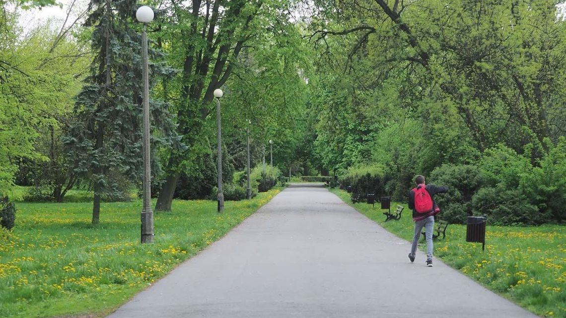 Przetarg na park Ludowy nie wyszedł już trzeci raz Przetarg na park Ludowy nie wyszedł już trzeci raz
