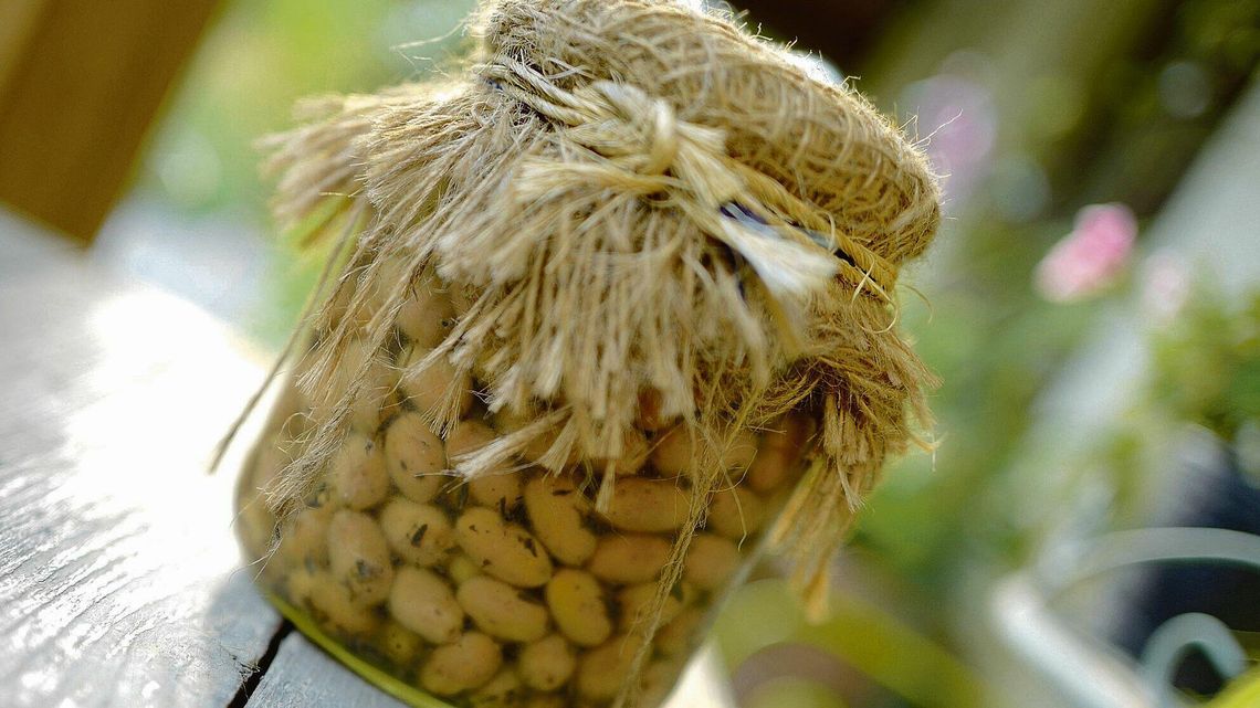 Przetwory na zimę. Jabłka marynowane, dereń kiszony czy buraki na zakwas [przepisy]