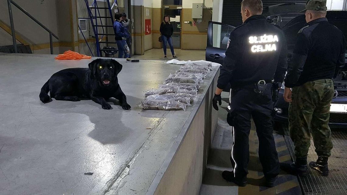 Przewoziła bursztyn warty 120 tys. zł [zdjęcia]