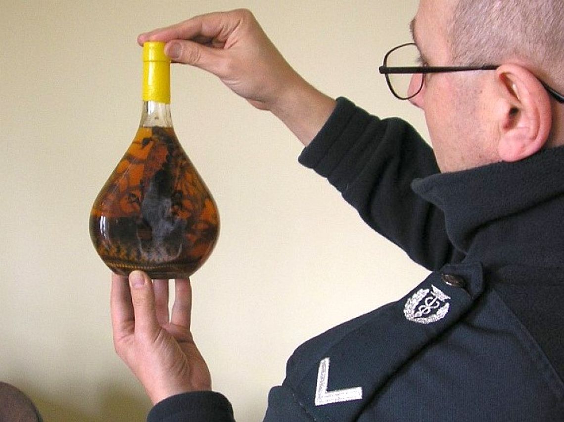 Przewoziła w pociągu butelkę alkoholu ze skorpionem i kobrą 