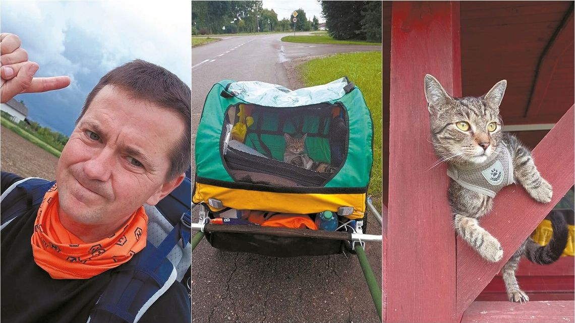 Przez Polskę idzie człowiek z kotem. Chce postawić Kingę na nogi Przez Polskę idzie człowiek z kotem. Chce postawić Kingę na nogi