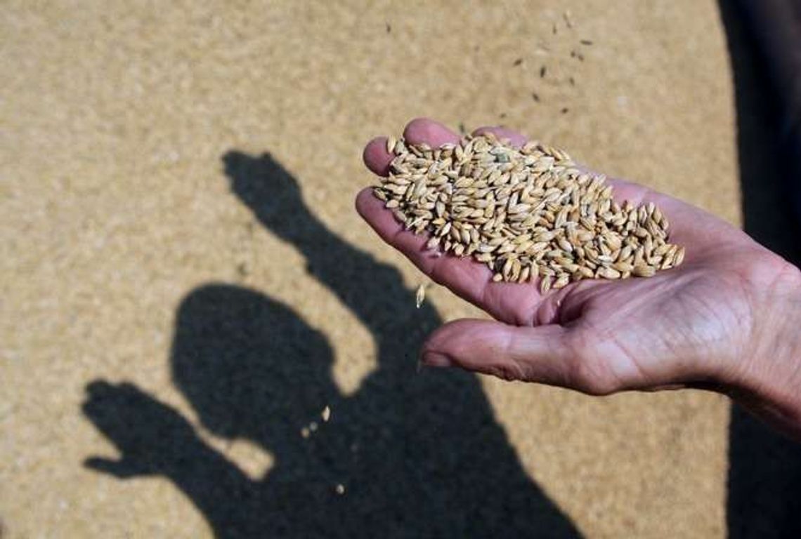 Przez suszę nie dopełnili formalności. Nie muszą obawiać się kar Przez suszę nie dopełnili formalności. Nie muszą obawiać się kar