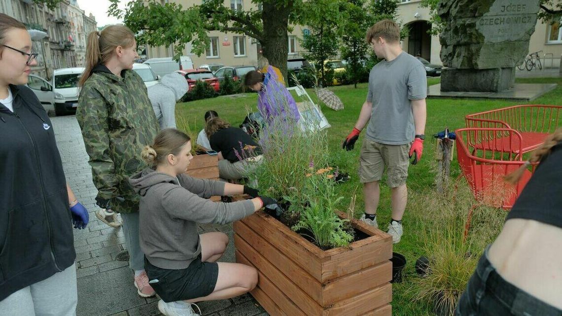 Przy Czechowiczu powstał Zielony Zakątek