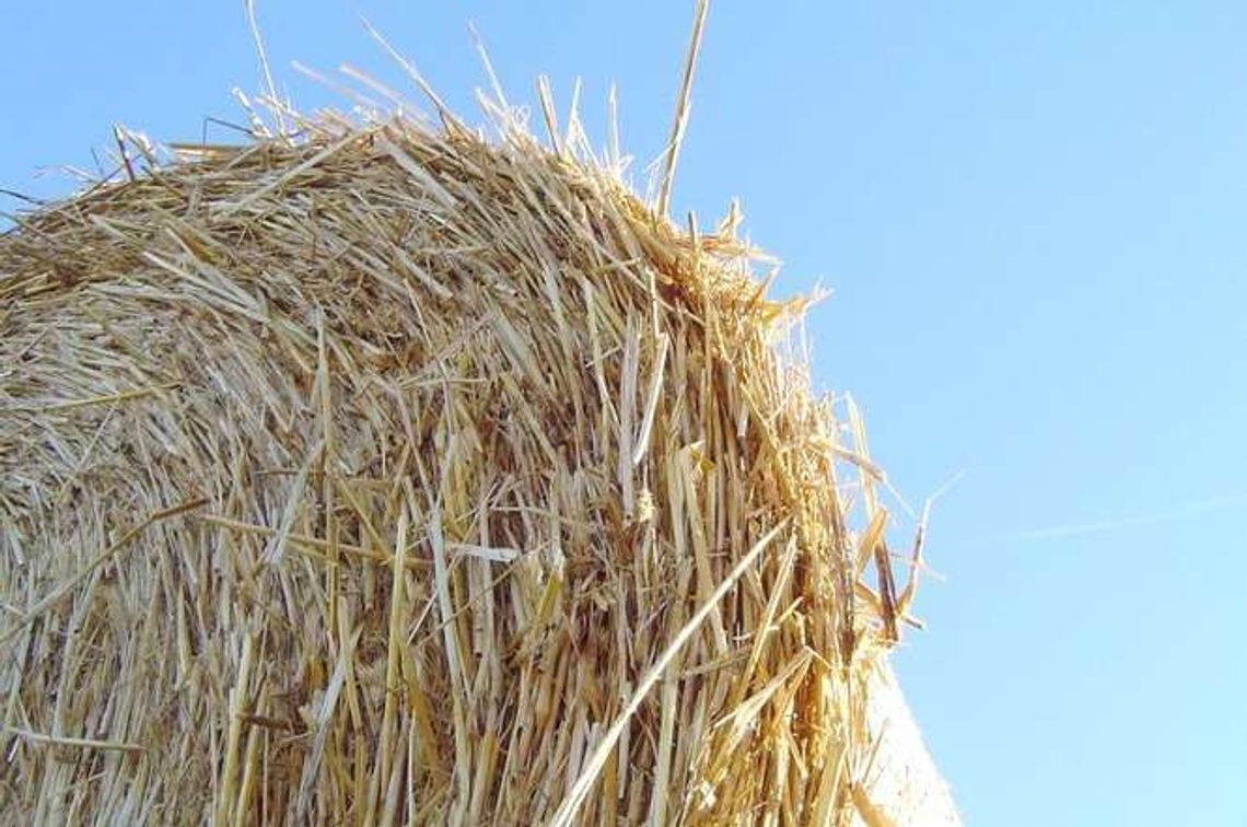 Przy Mełgiewskiej nowe kominy? Elektrownia na słomę i elektrociepłownia na paliwo ze śmieci