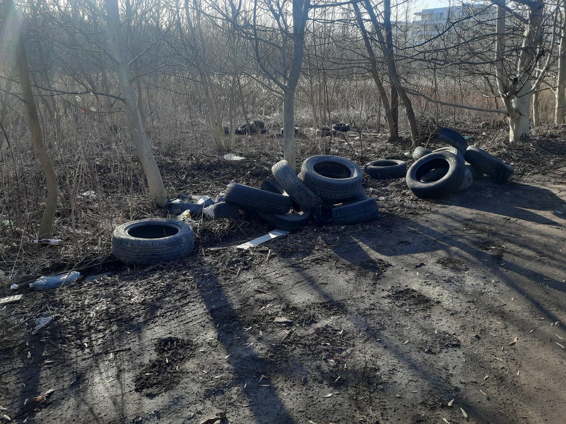 Przy ul. Mickiewicza w Lublinie nie żyje się łatwo Wiosna, która w ostatnich dniach na dobre zawitała do naszego otoczenia, odsłoniła również to, co przez kilka miesięcy skutecznie ukrywały późna jesień i zima. Topniejący śnieg i znikająca z przydroży szarość ujawniły niestety nieprzyjemny widok – dziesiątki pustych butelek z tworzywa sztucznego.