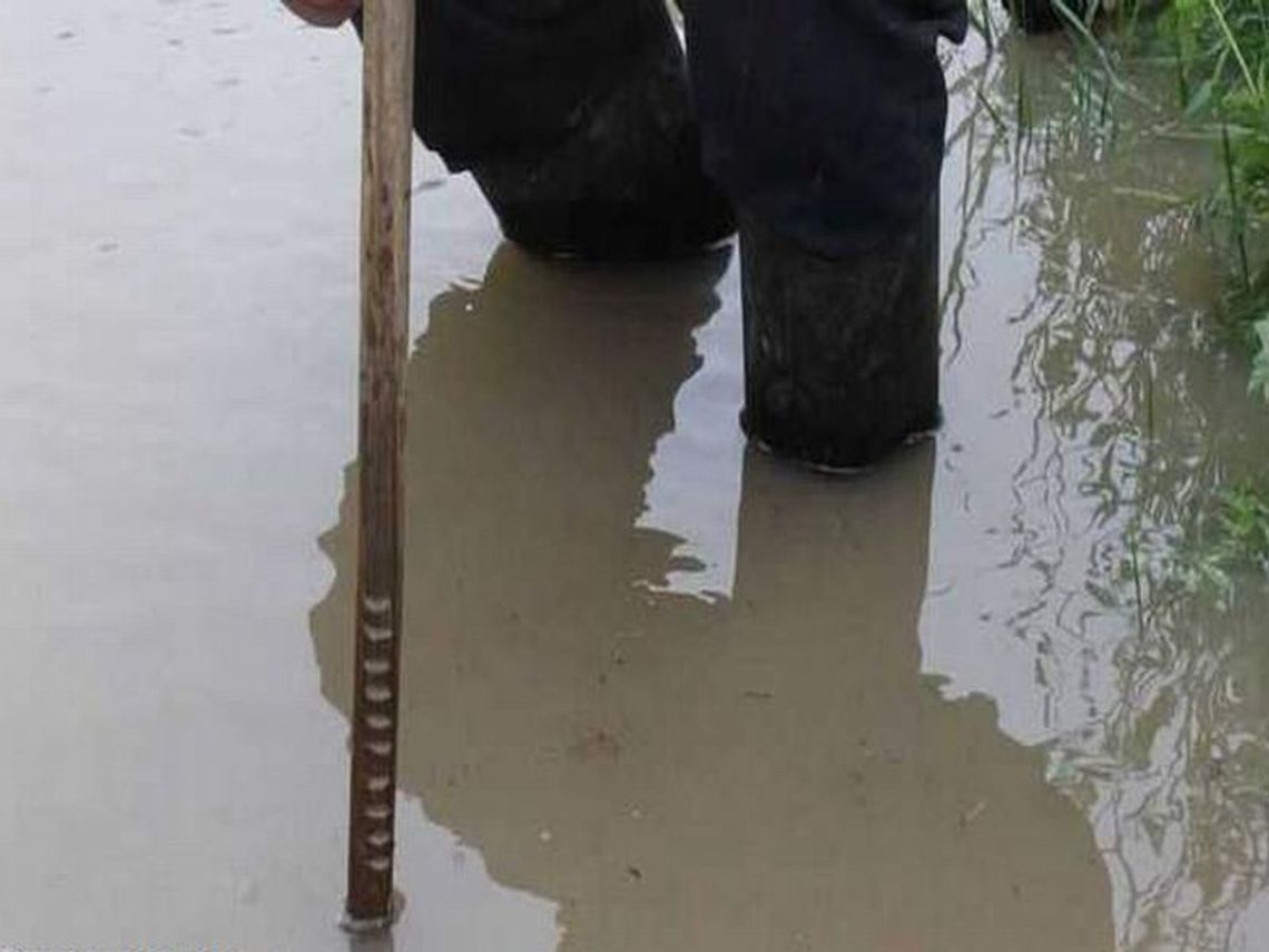 Przybywa wody w rzekach