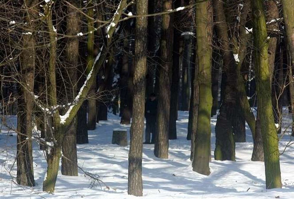 Przygniotło go drzewo. Zdołał wezwać pomoc