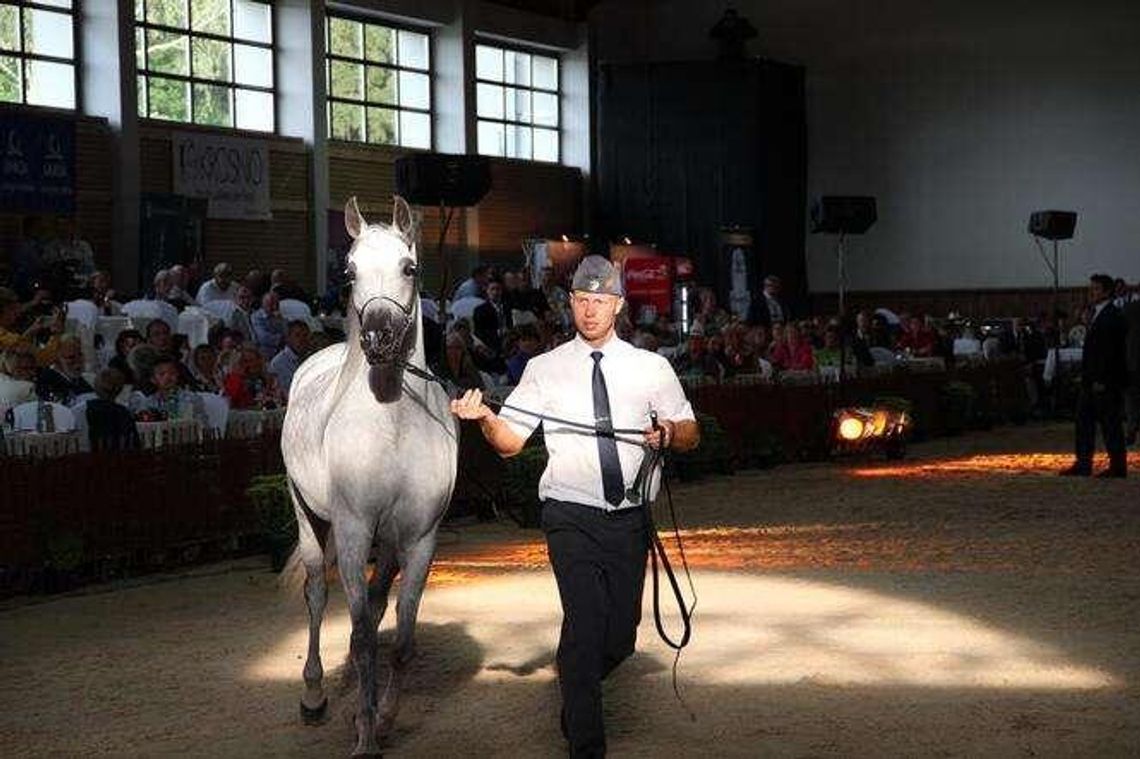 Przygotowania do Pride of Poland. "Wszystko będzie gotowe na czas"