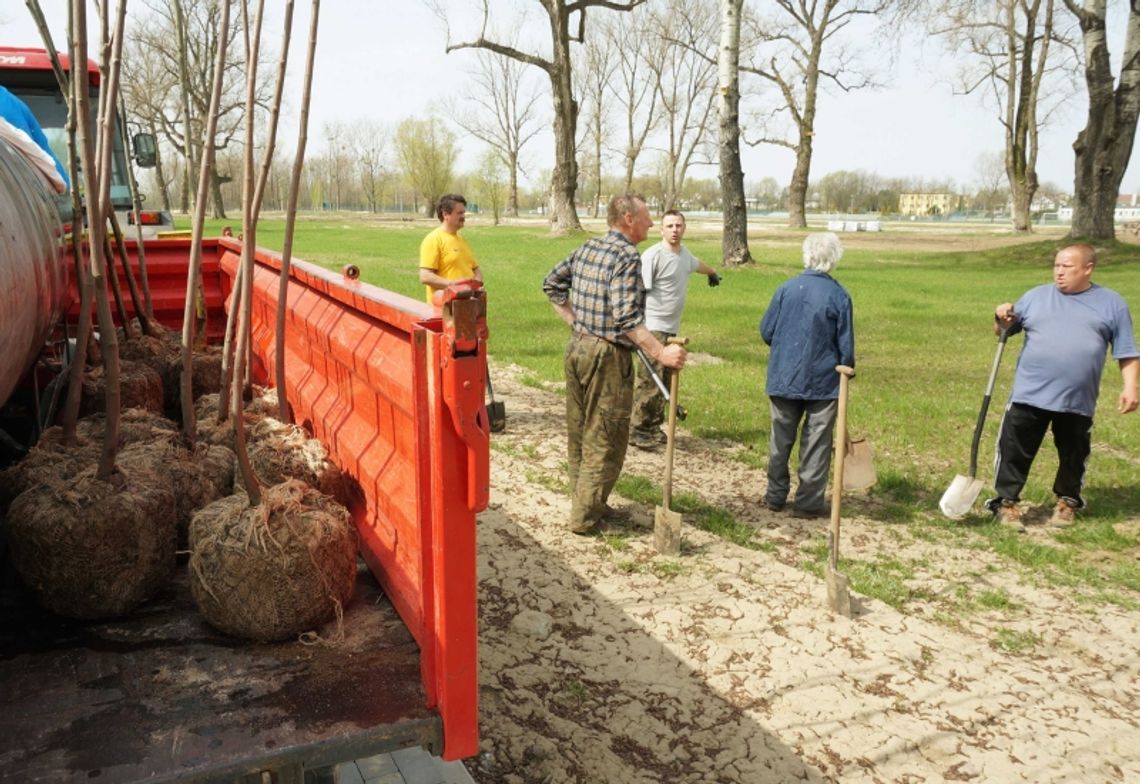 Przyjedź sadzić drzewa w Stężycy 