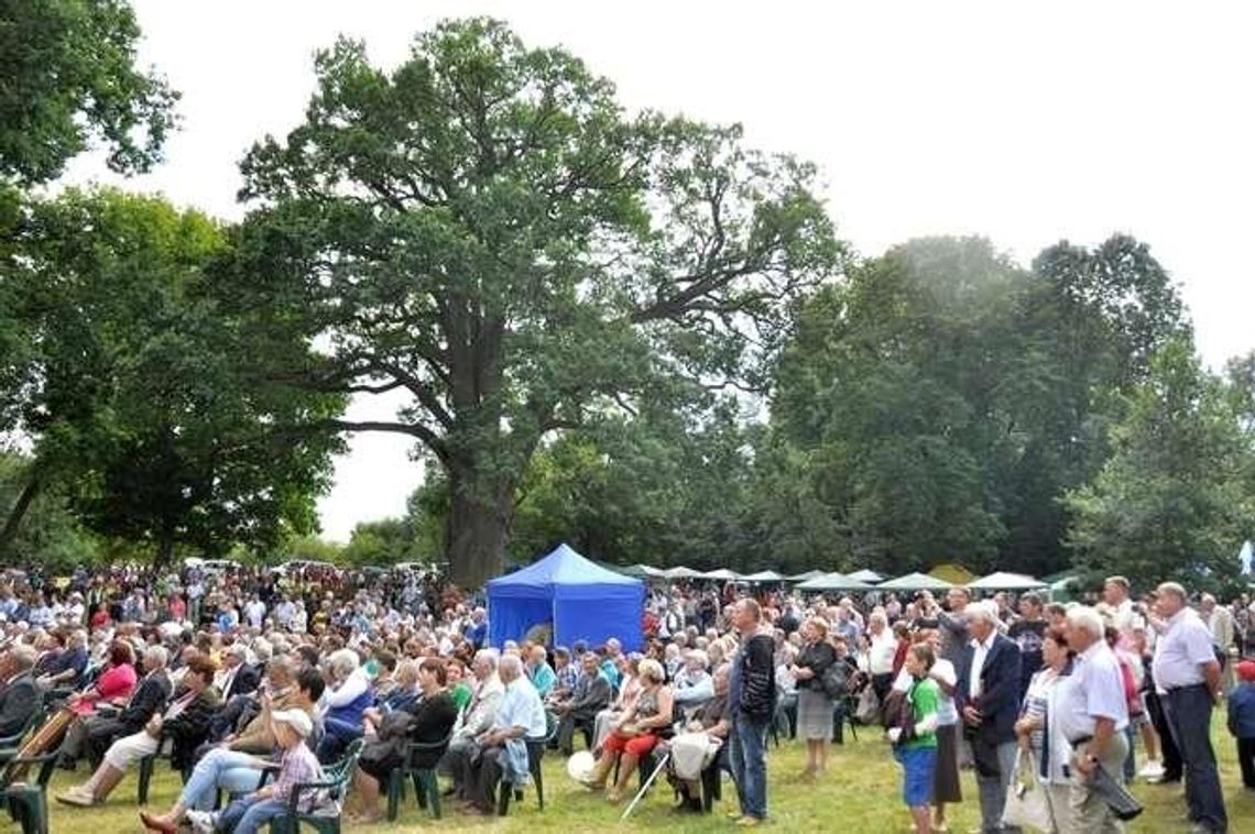 Przyjeżdżaj do Bolka na imieniny