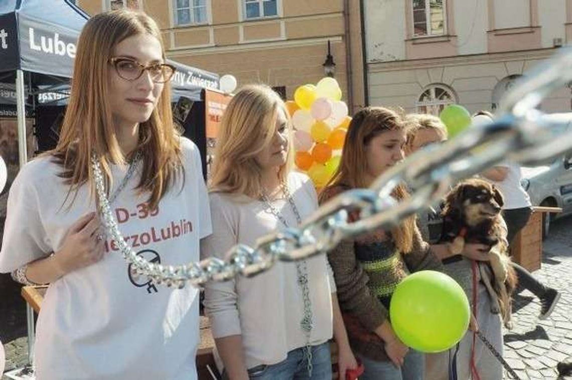 Przykuli się do psich bud. "Pies powinien być przywiązany do człowieka, nie do budy"