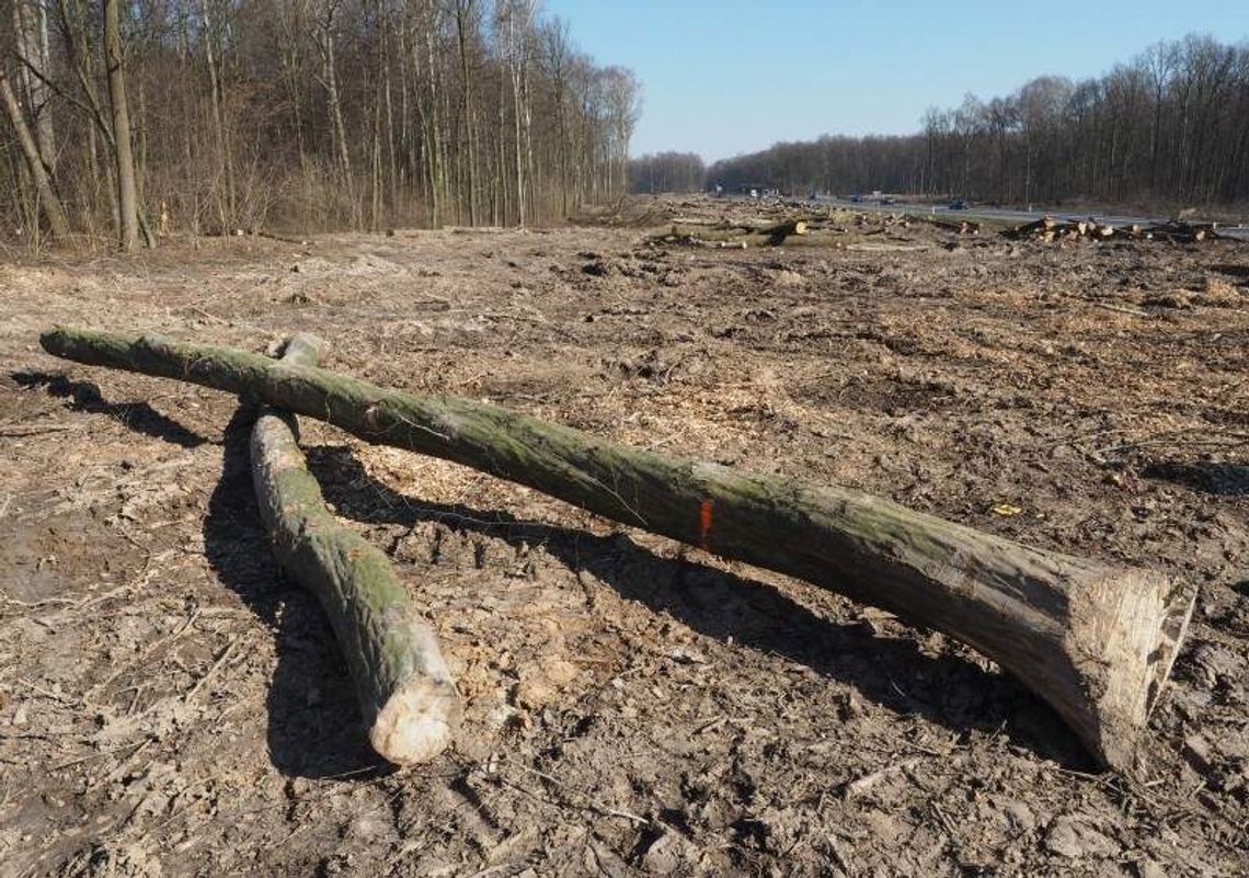 Przyspieszają prace na budowie zachodniej obwodnicy Lublina Przyspieszają prace na budowie zachodniej obwodnicy Lublina