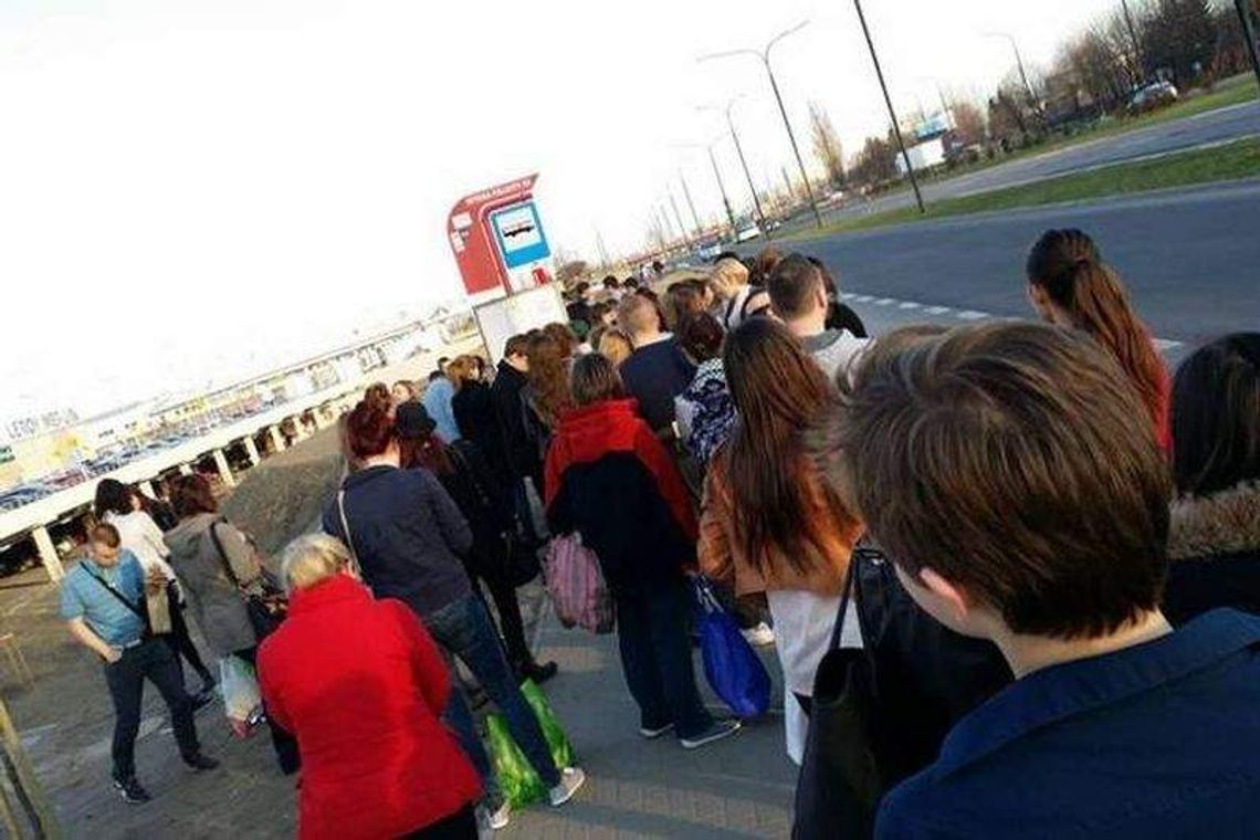 Przystanek przy Felicity: Postawią wiatę