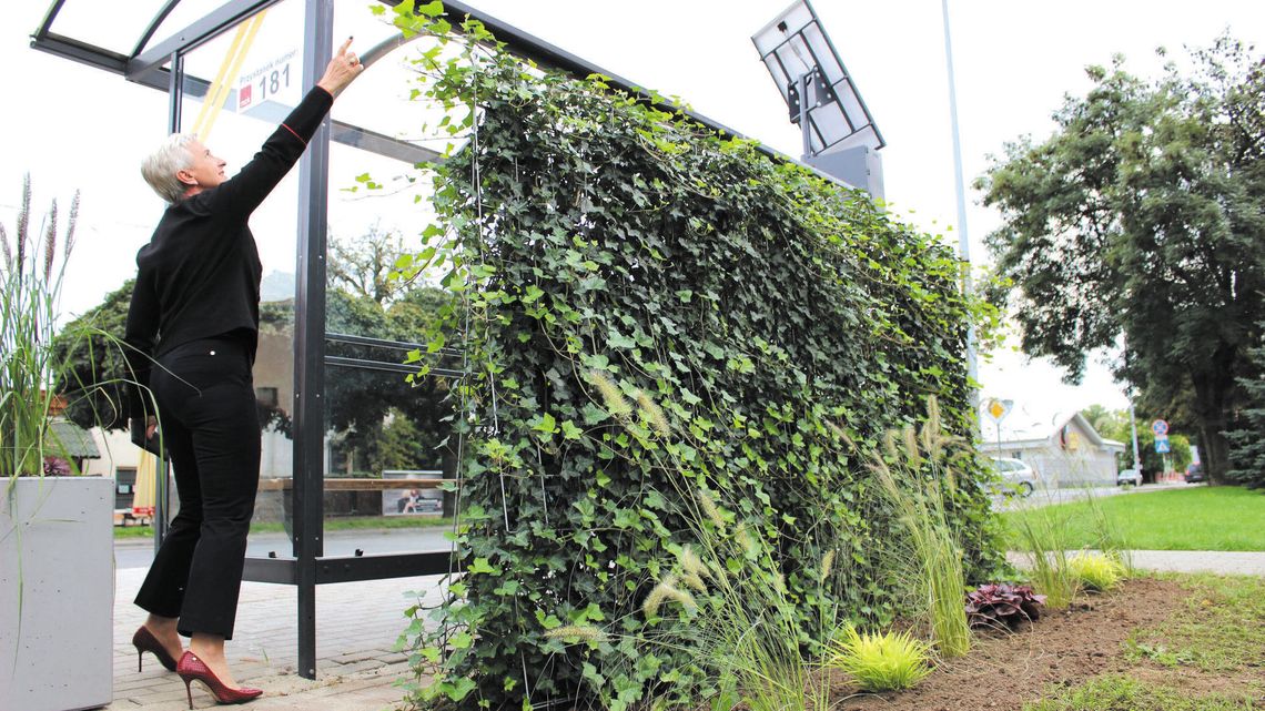 Przystanki w Lublinie miały być zielone. Ale tej zieleni wciąż nie widać