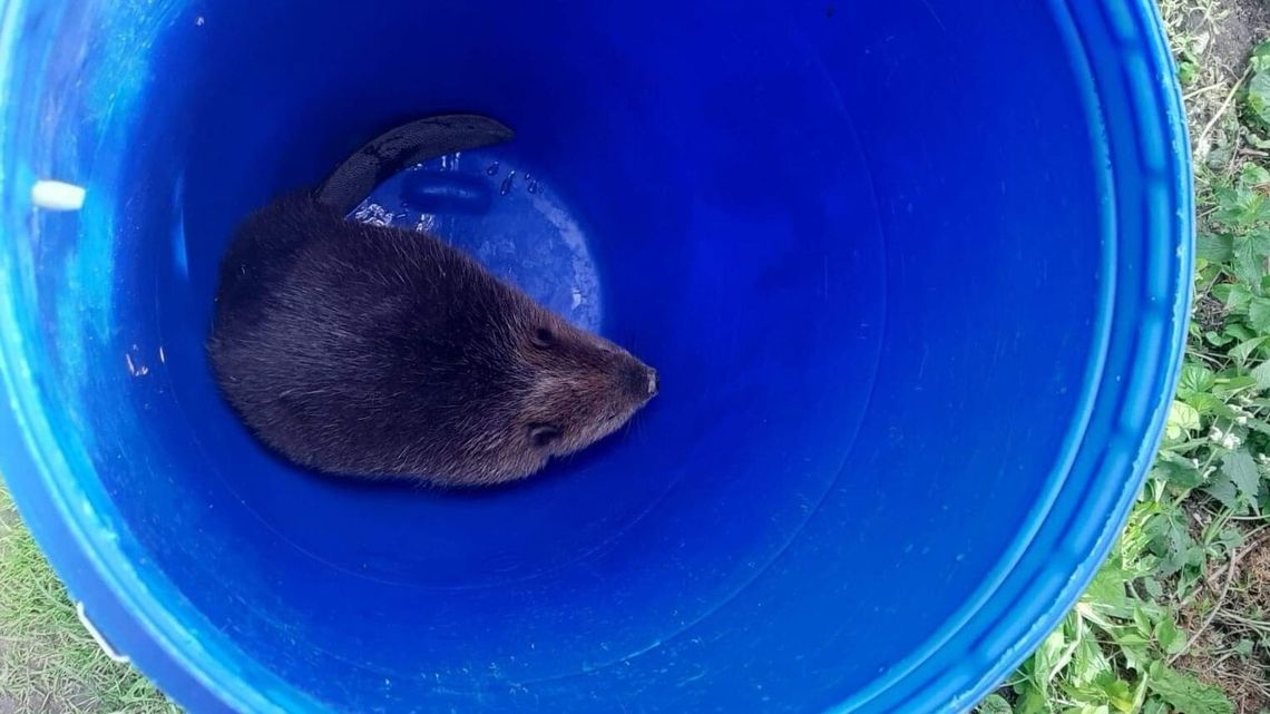 Przyszedł i nie chciał odejść. Potrzebna była interwencja policji
