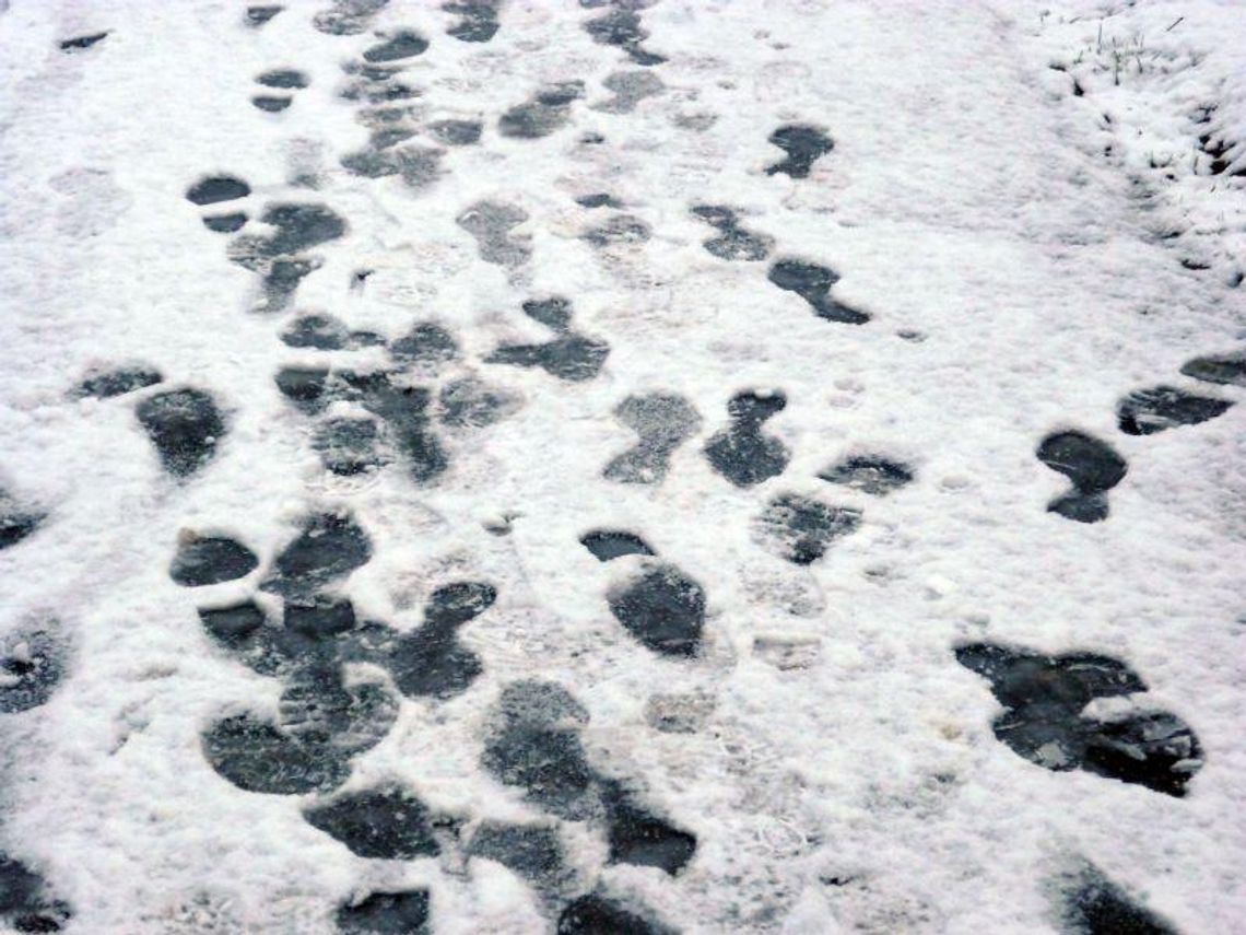 Przyszła zima. Zamość pod śniegiem (zdjęcia)