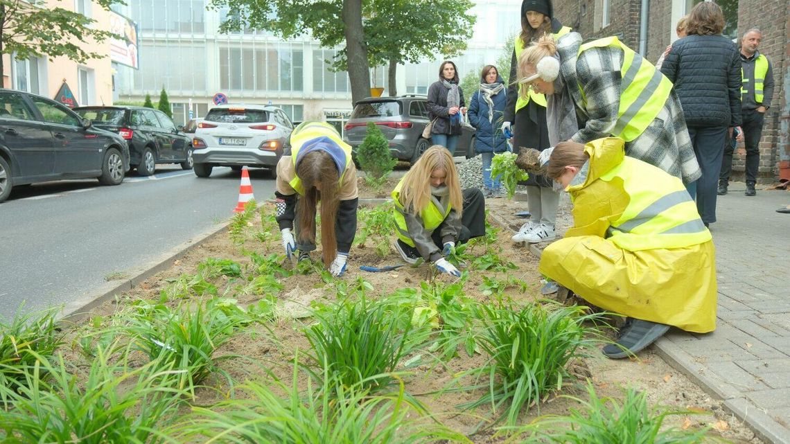 Przyszli do szkoły i posadzili ogród deszczowy. Cenna lekcja uczniów lubelskiego liceum