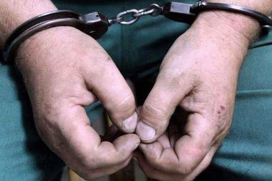 Psa pobitego kołkiem ciągnęli na sznurku. Są już w areszcie