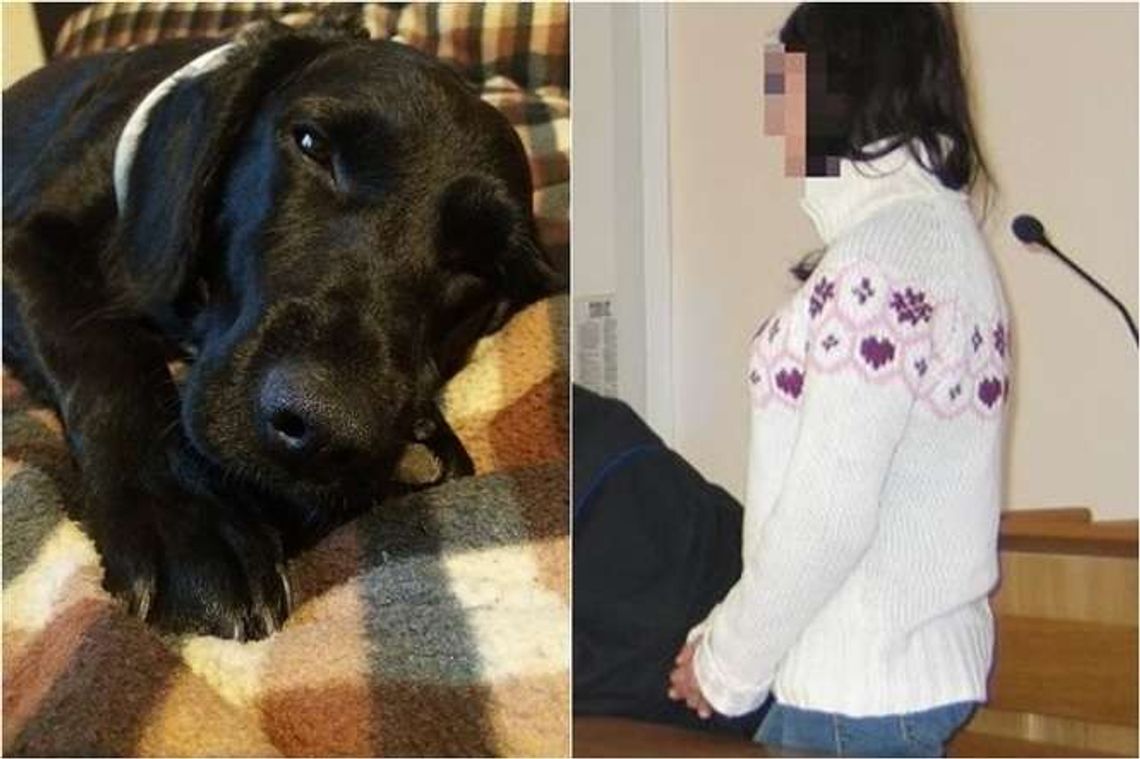 Psa wepchnęła do worka z cegłą i wrzuciła do rzeki. Dziwne tłumaczenia 31-latki Psa wepchnęła do worka z cegłą i wrzuciła do rzeki. Dziwne tłumaczenia 31-latki