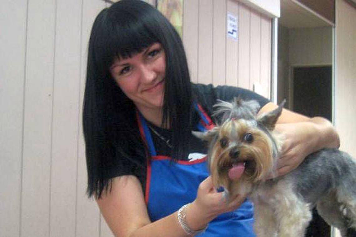 Psi fryzjer: Przed urlopem psy idą do salonu piękności