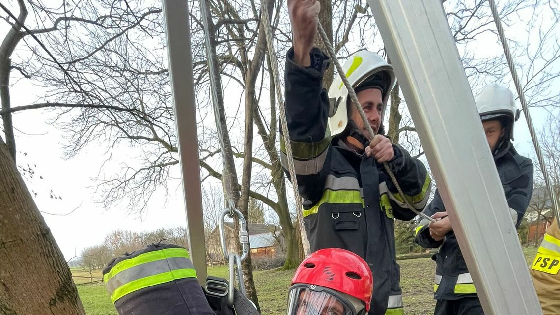 Psi pech w piątek, trzynastego i o trzynastej