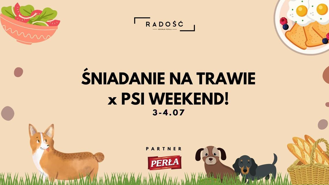 Psi weekend i śniadanie na trawie w Radości Psi weekend i śniadanie na trawie w Radości