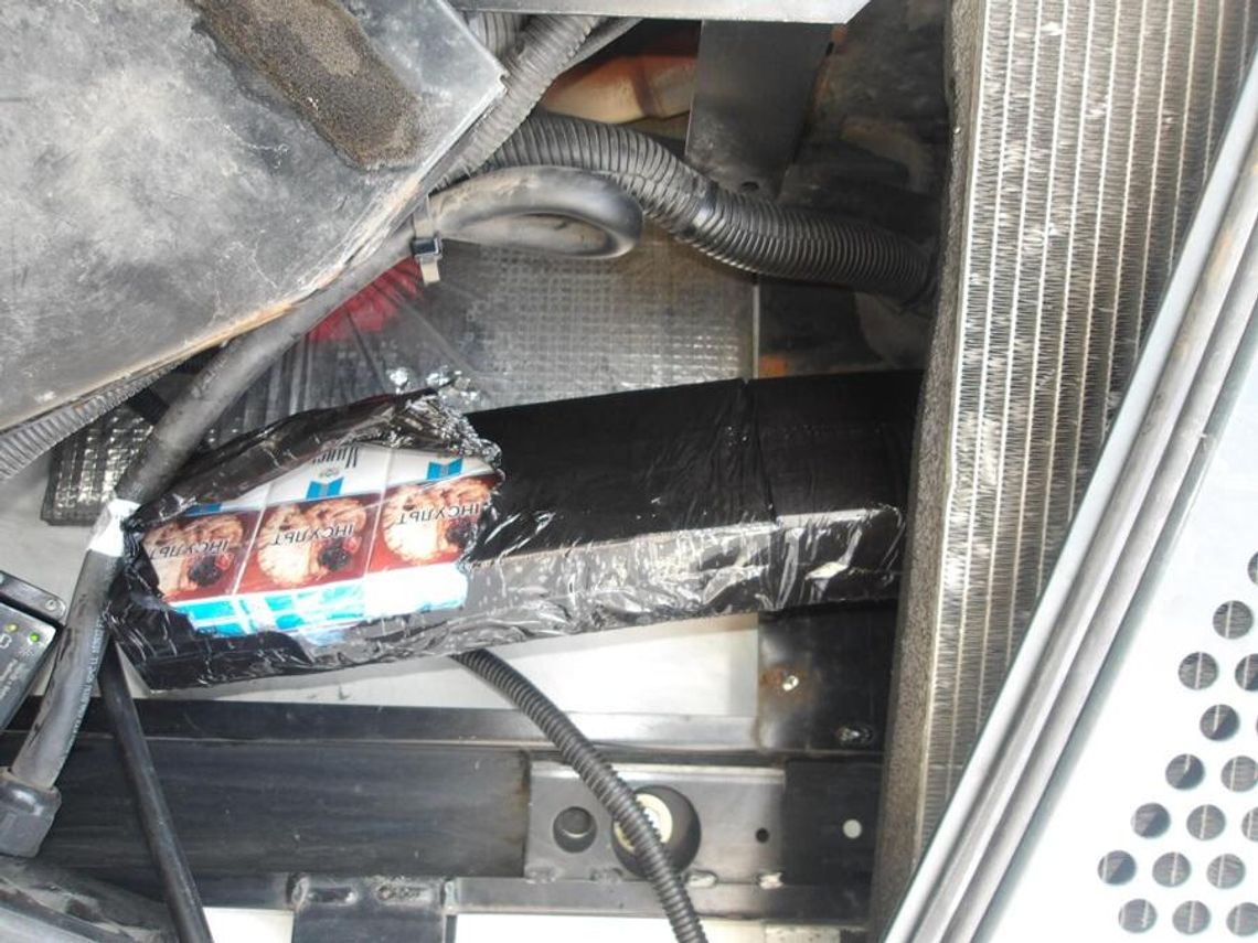 Psy służbowe wywęszyły przemyt papierosów z Białorusi