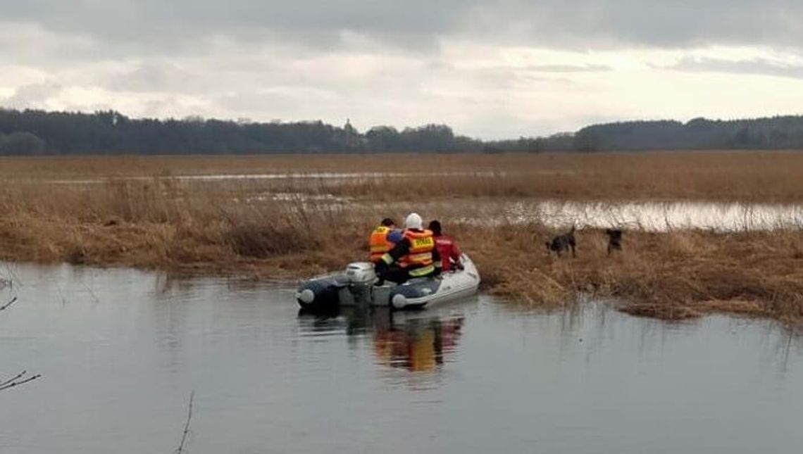 Psy wpadły w pułapkę. Potrzebna była pomoc strażaków i pracownika schroniska