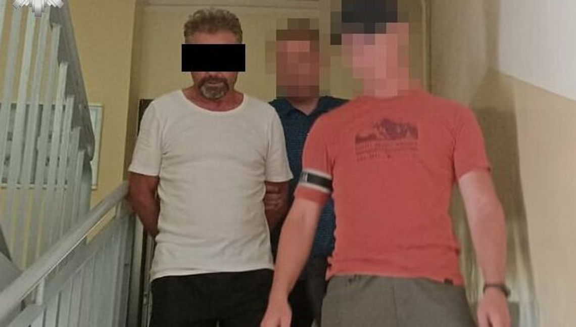 Psy zagryzły człowieka. Ruszył proces ich właściciela Psy zagryzły człowieka. Ruszył proces ich właściciela