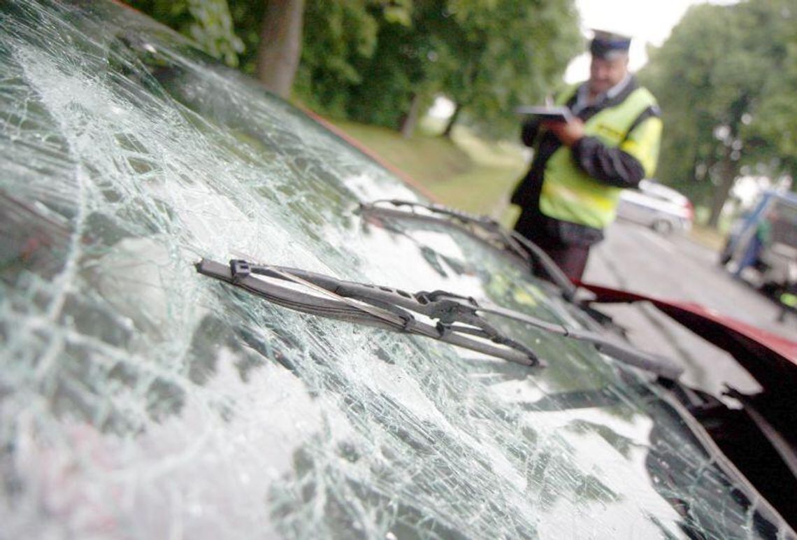 Psycholog komunikacyjny: Jak żyjemy, tak jeździmy