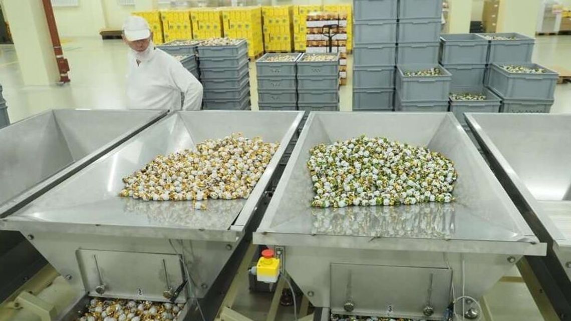 Pszczółka od niedawna ma nową prezes. Teraz szuka osoby do Zarządu Pszczółka od niedawna ma nową prezes. Teraz szuka osoby do Zarządu