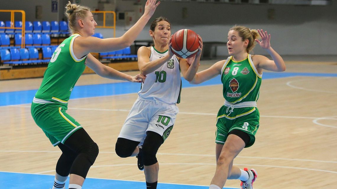 Pszczółka Polski Cukier AZS UMCS Lublin skorzysta z doświadczenia Aleksandry Stanacev? "Potrzebuję czasu"