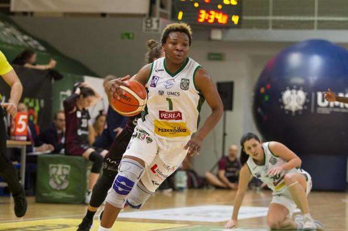 Pszczółki pozbawione złudzeń w Polkowicach