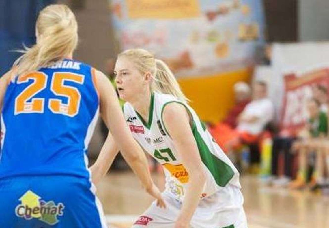 Pszczółki wlatują na właściwe tory Pszczółki wlatują na właściwe tory