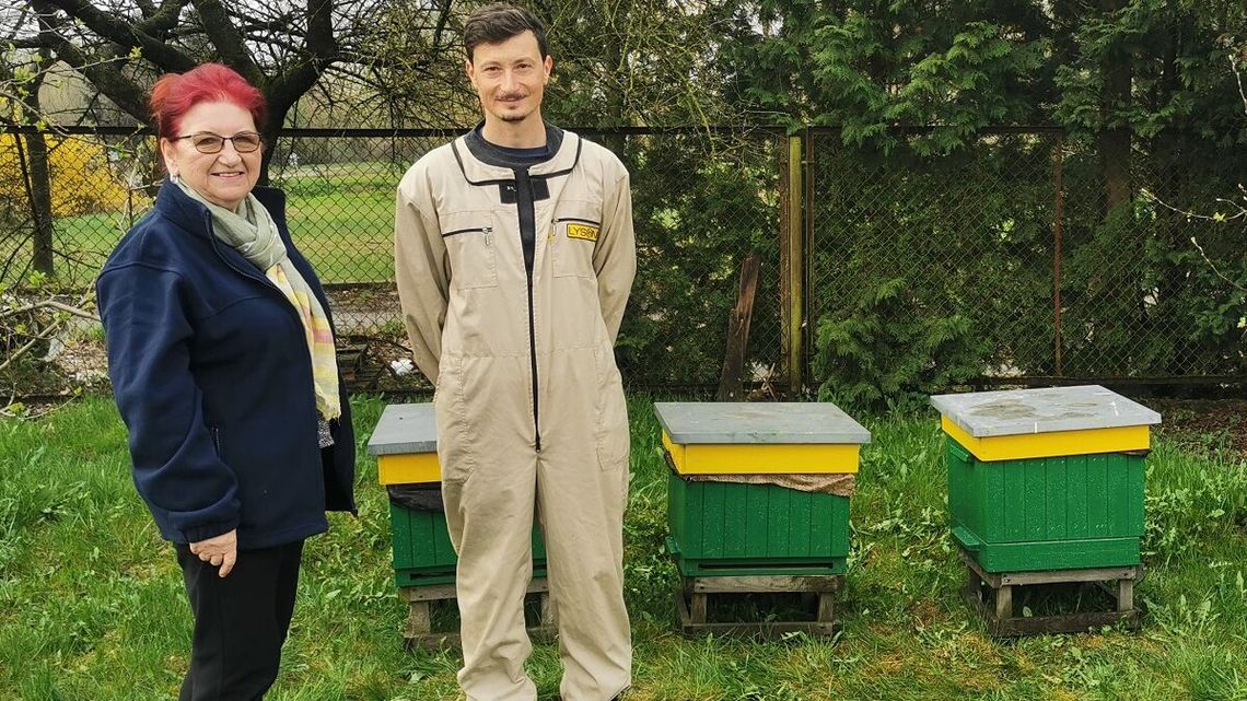 Pszczoły trafiły na Rybacką. Bezdomni dostaną miód Pszczoły trafiły na Rybacką. Bezdomni dostaną miód