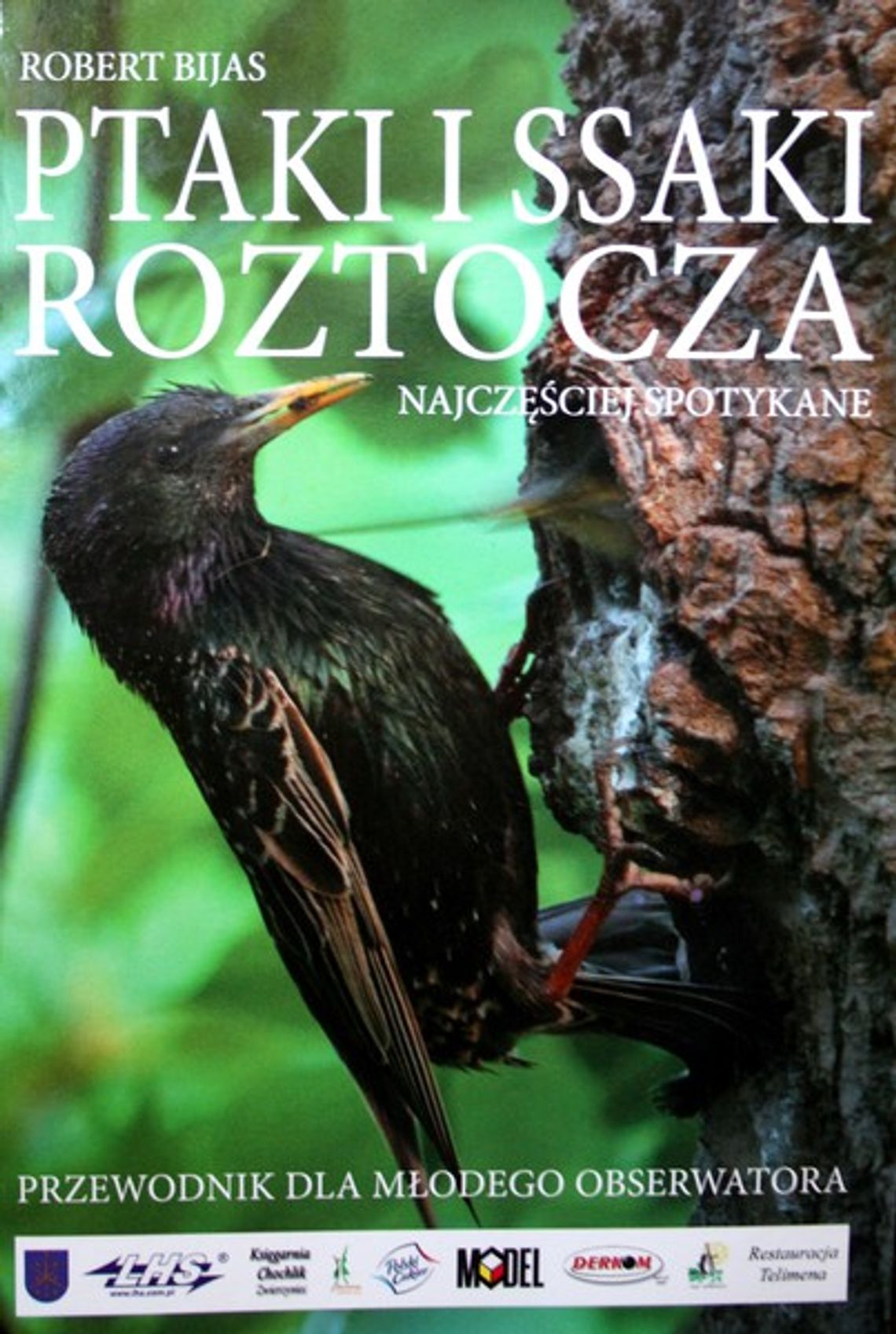 Ptaki Roztocza w centrum uwagi. Najpierw je policzyli, teraz sfotografowali