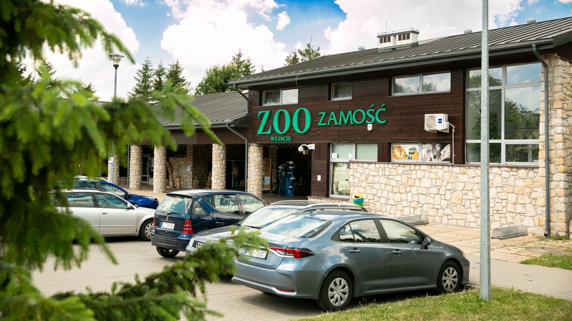 Ptaki, zające, sarenki... Ludzie podrzucają zwierzęta do ZOO. A nie powinni