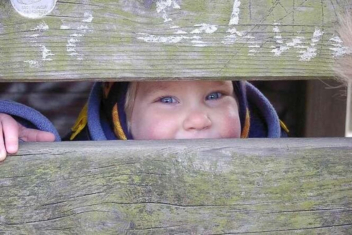 Puławy: 500 złotych na dziecko pochłonie 45 milionów rocznie