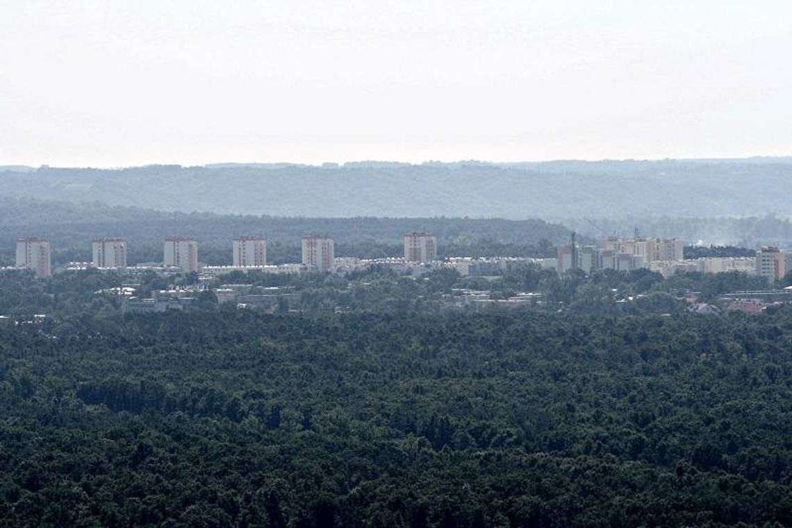 Puławy będą miały nowe spoty reklamowe