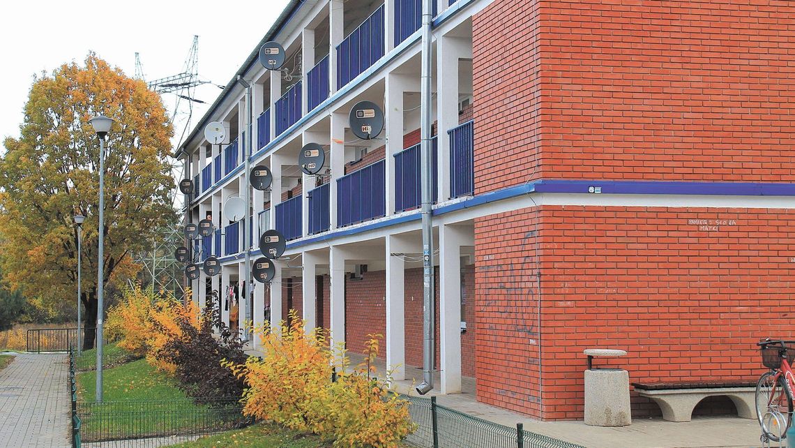 Puławy: Dłużnicy zaczęli pracować na rzecz miasta. Jedna osoba odmówiła „ze względów kulturowo-religijnych”