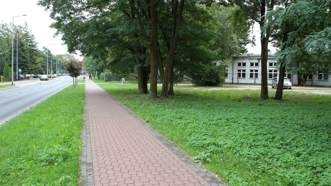 Puławy. Hospicjum prosi o działkę prezydenta. A prezydent prosi starostę Puławy. Hospicjum prosi o działkę prezydenta. A prezydent prosi starostę