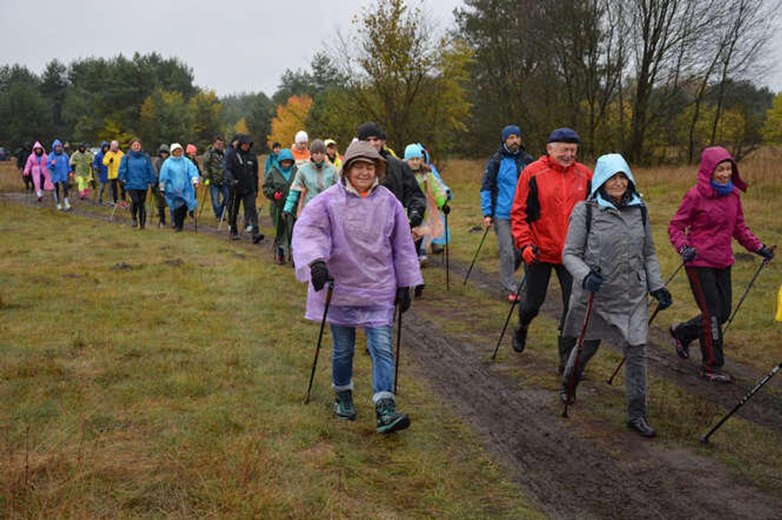 Puławy: Jesienny Rajd Nordic Walking